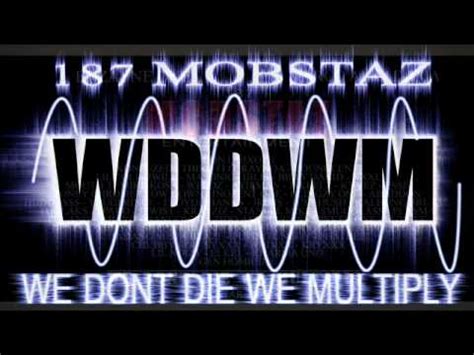 WE DONT DIE WE MULTIPLY (WDDWM) AUDIO + LYRICS.